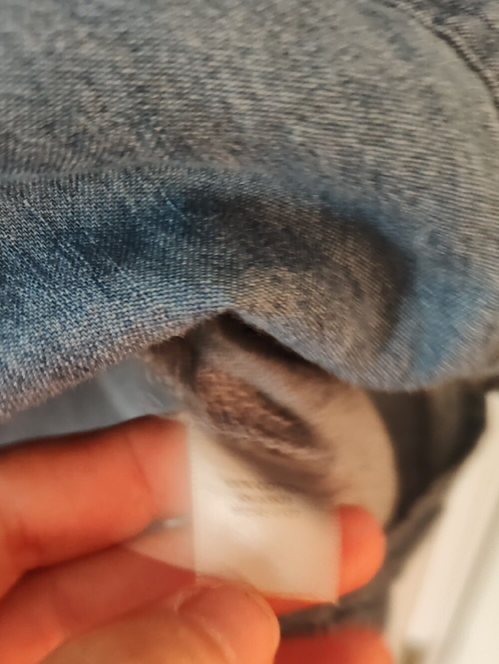 CJ Banks Light Blue Short-Sleeve Button-Down Shirt - Picture 3 of 4